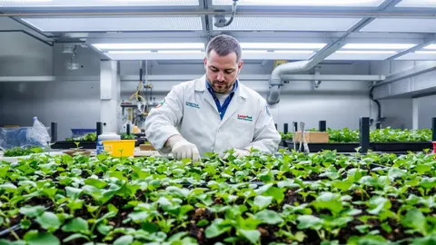 Voedsel verbouwen op de maan: onderzoekers verkennen de mogelijkheden van levensvatbare maanlandbouw