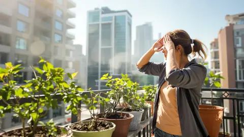 We dachten dat sommige planten hittebestendig waren: in werkelijkheid lijden de meeste vaste planten in pot al vanaf 30°C.